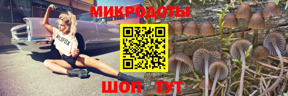 Галлюциногенные грибы Psilocybe  Псилоцибиновые грибы Cubensis  Моздок  Вход с VPN 